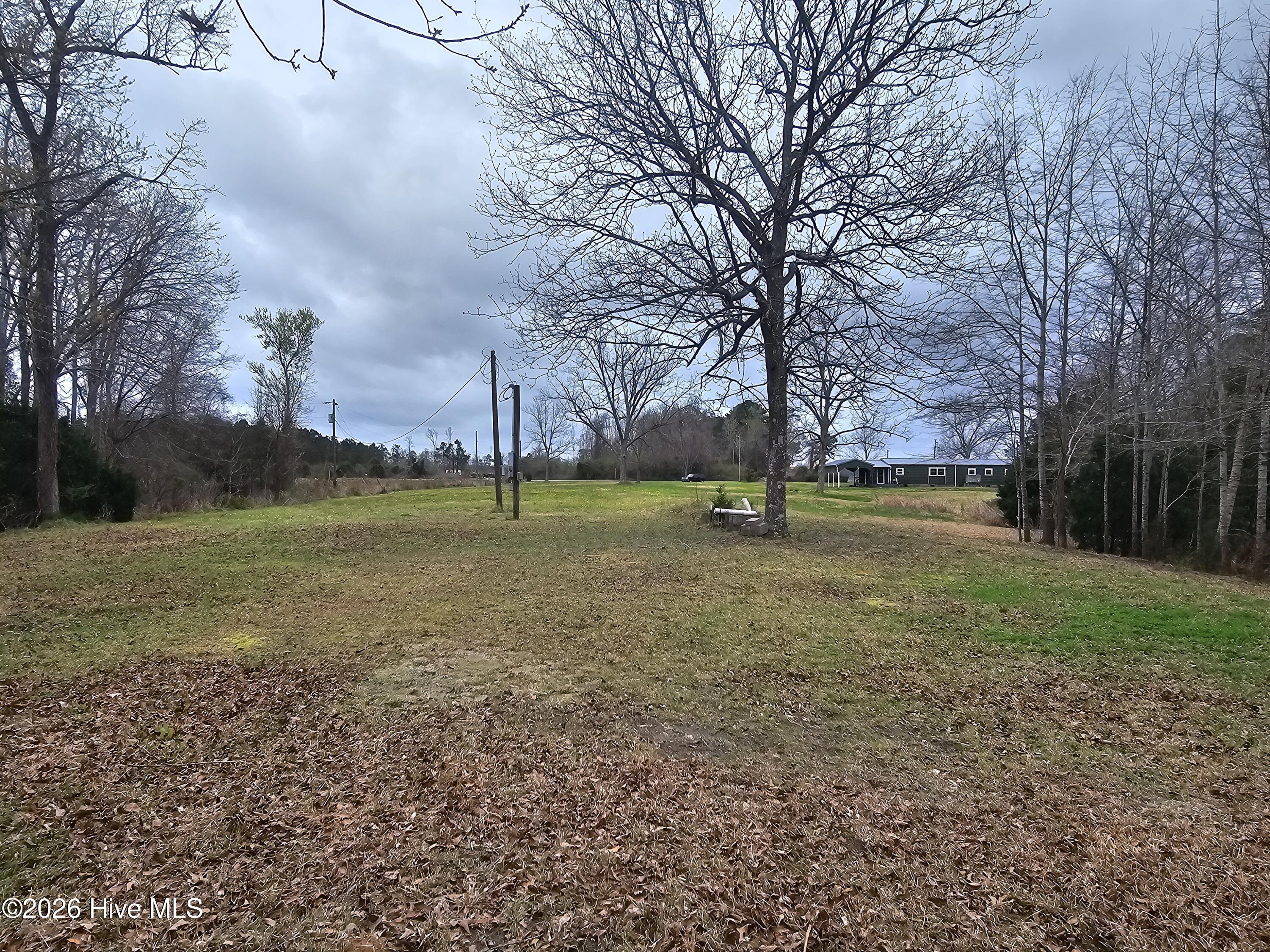 Image 4: 251 ALLIGATOR LOOP 2 LOOKING BACK TO THE