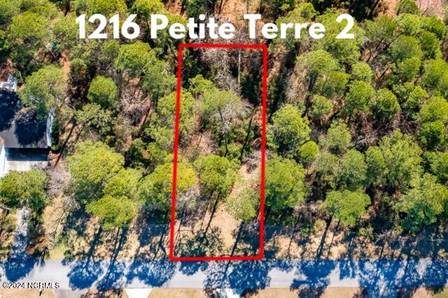 Image 2: 1216 Petite Terre 2