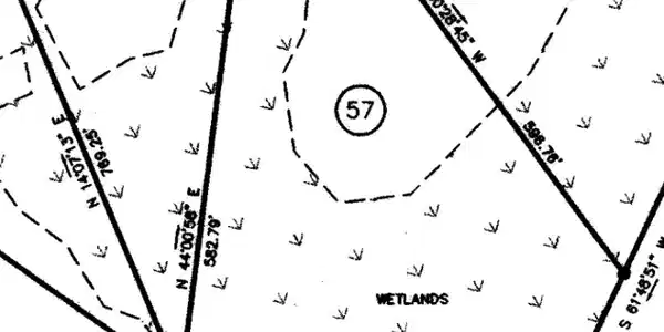 Image 3: Survey
