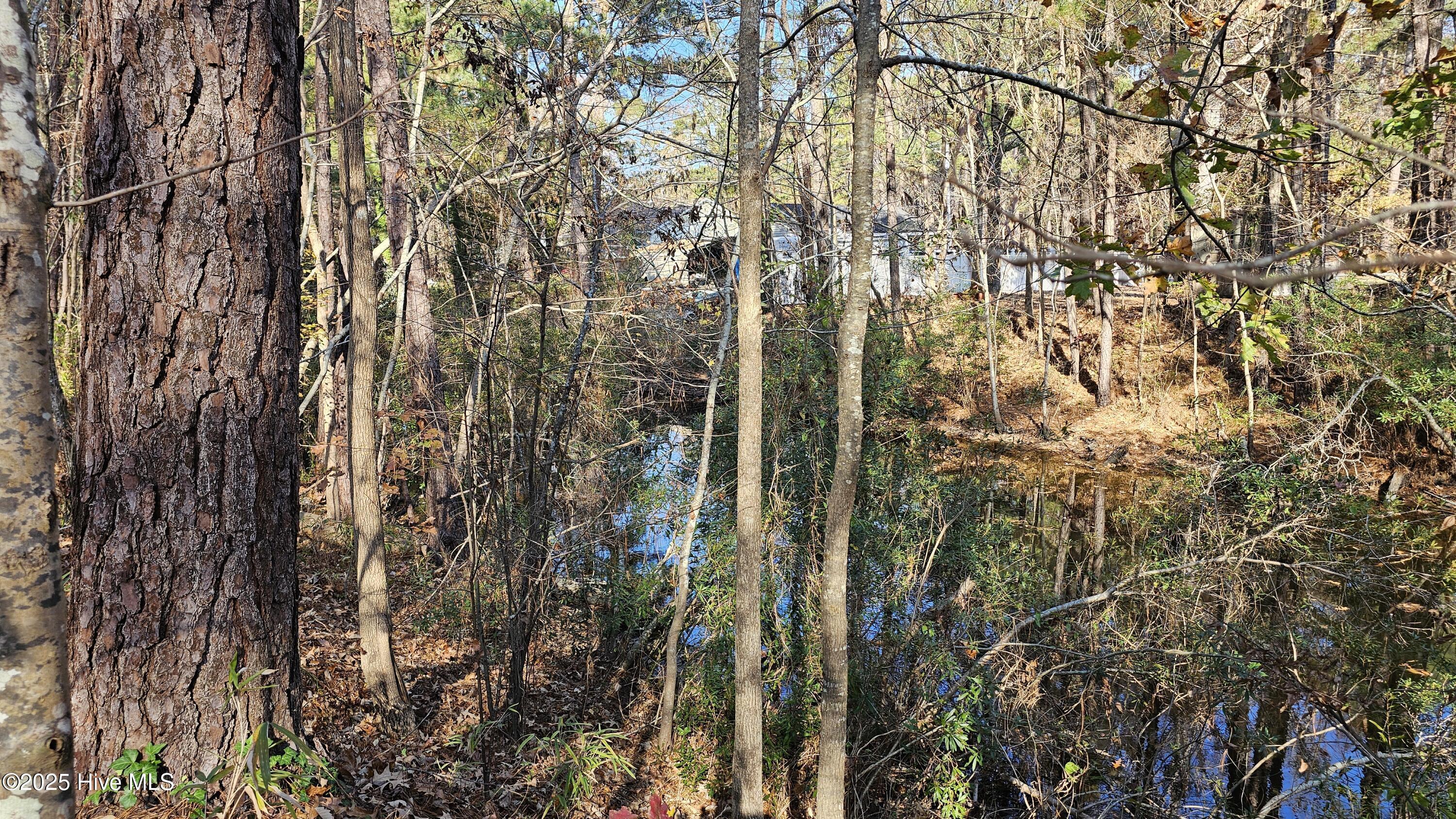 Image 2: 20241205_112911