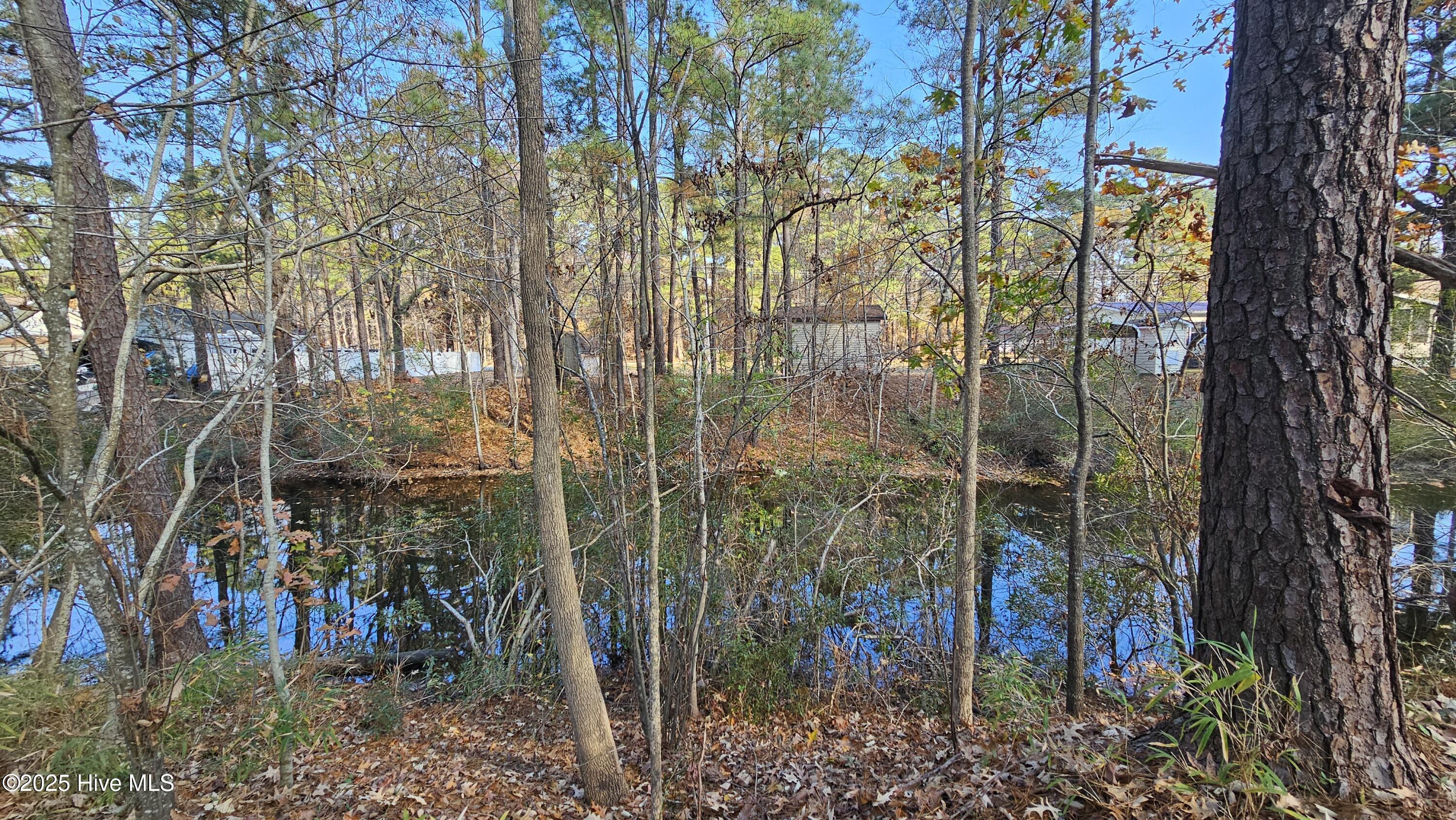 Image 3: 20241205_112952