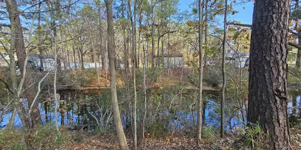 Image 3: 20241205_112952