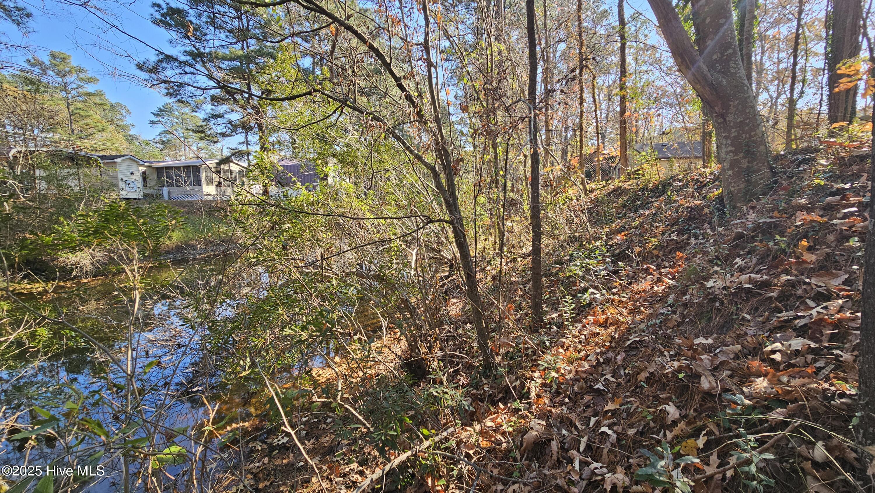 Image 4: 20241205_113127