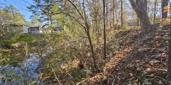 Image 4: 20241205_113127