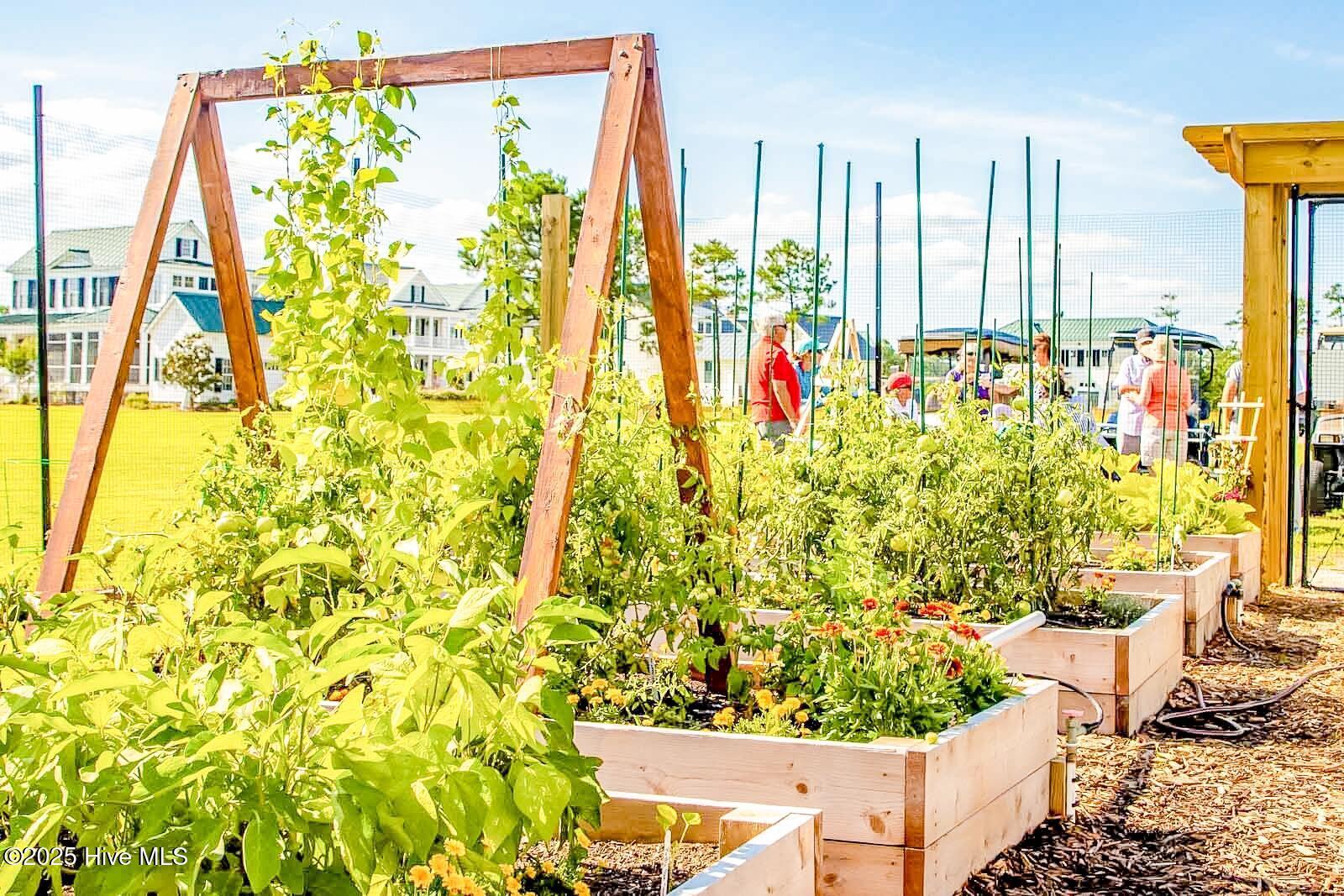 Image 2: Community Garden (Large)