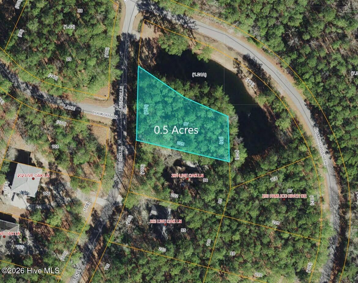 Image 1: 001 Main View 111 Live Oak Ln