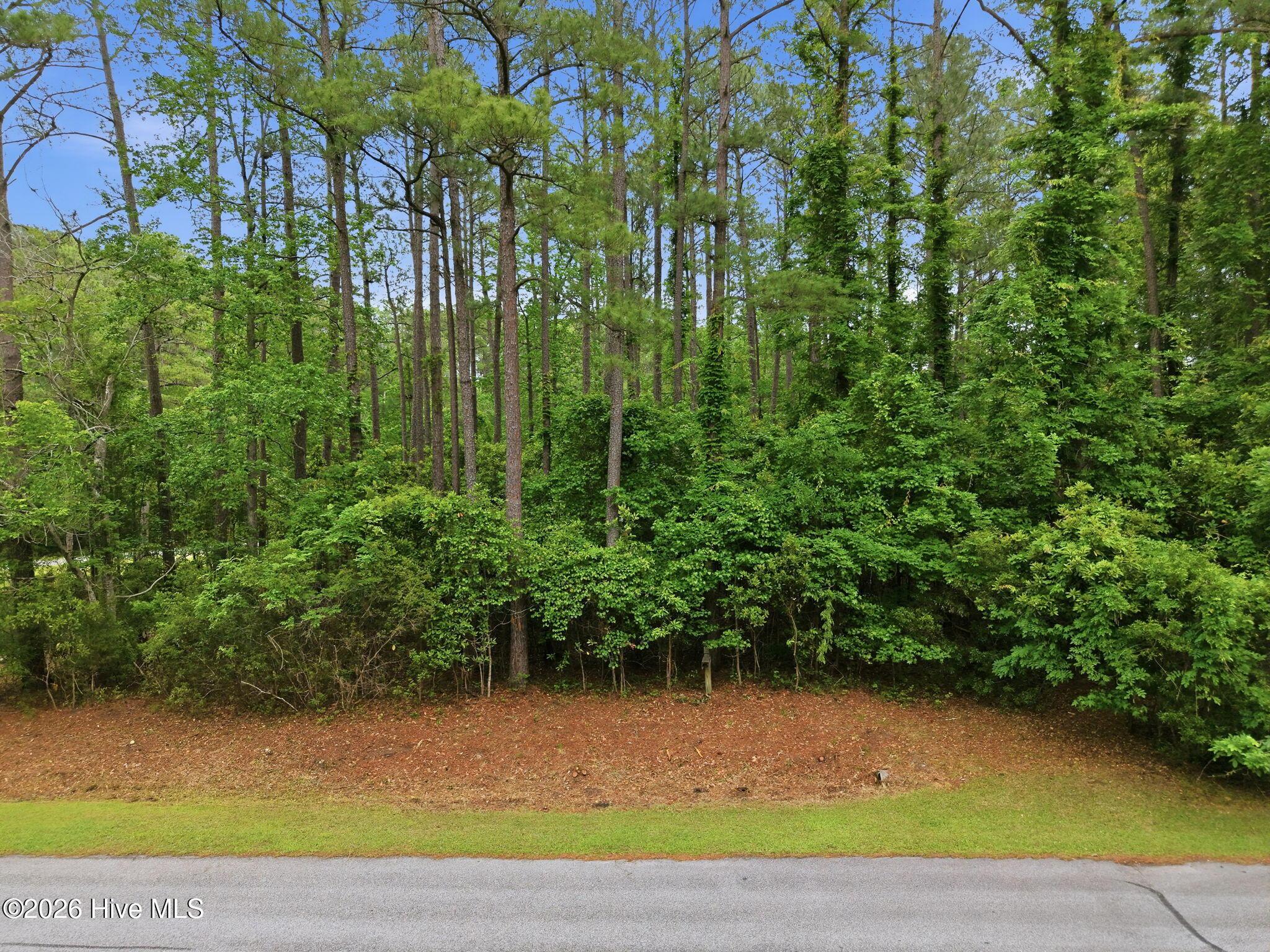 Image 3: 2-web-or-mls-DJI_20260501095214_0018_D