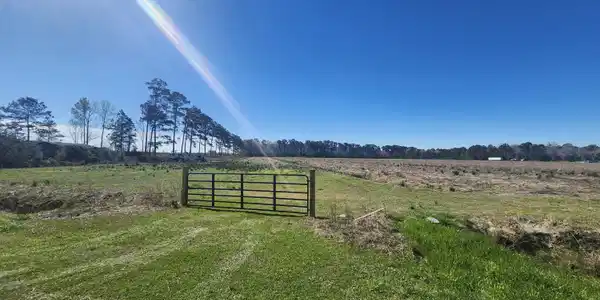 901 Murphy Farm Road