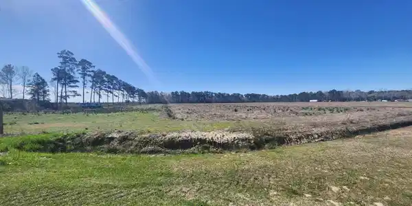 Image 2: property extends ack into the tree line