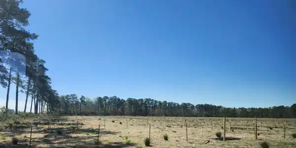 Image 3: small pen started/electric fencing