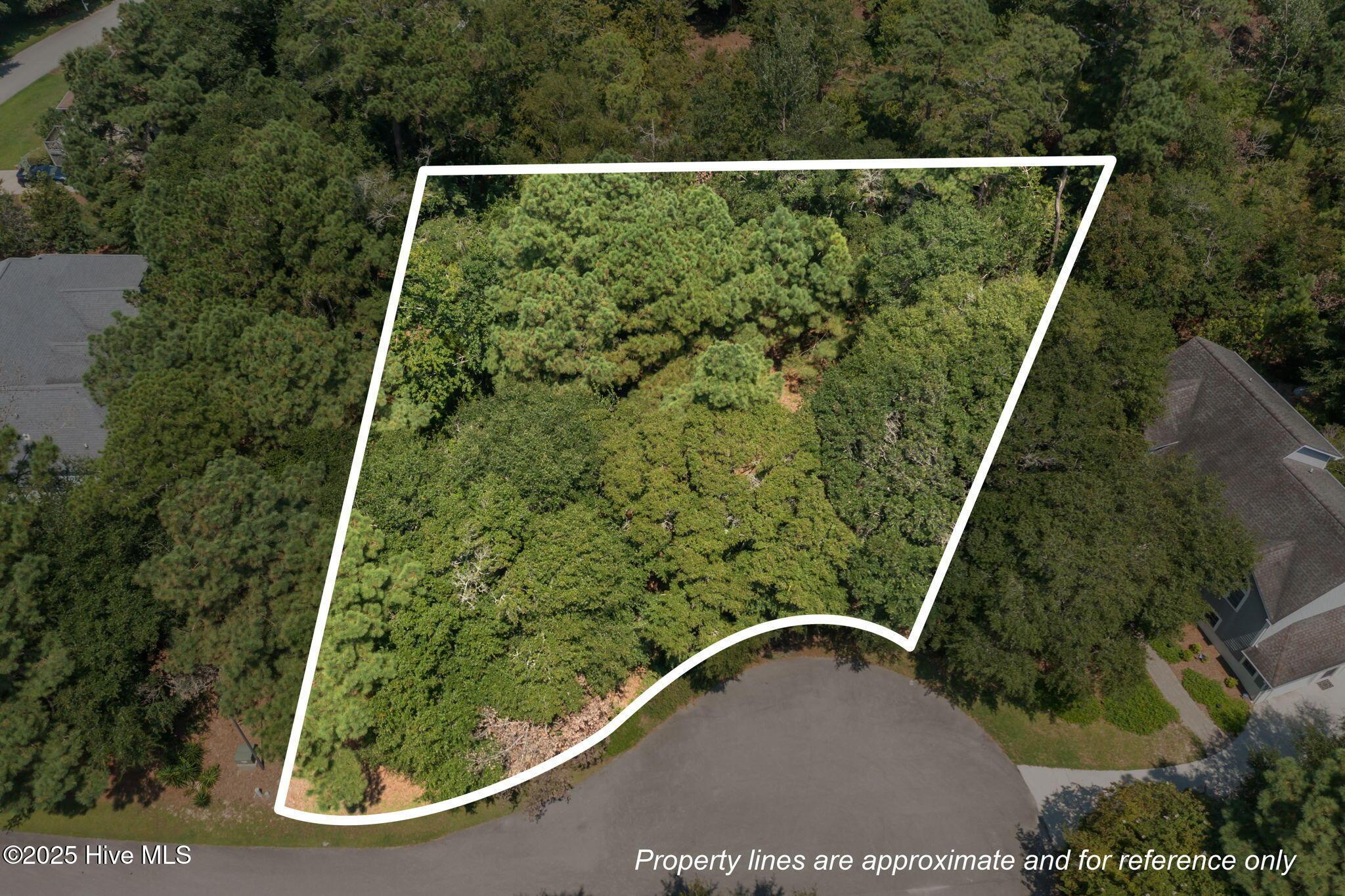 Image 2: 9704 Ashley Pl