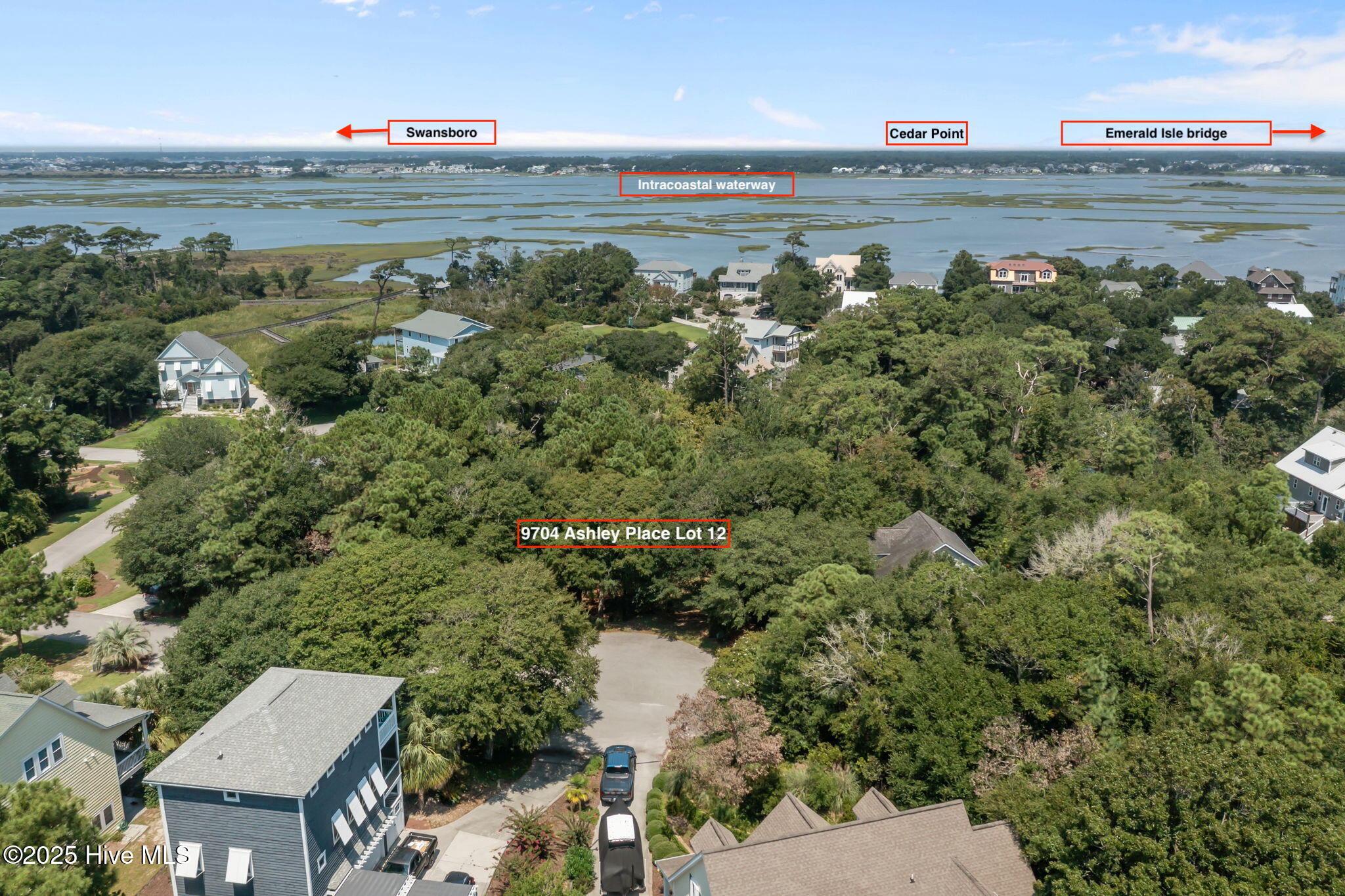 Image 3: 9704 Ashley Pl
