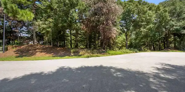 Image 4: 9704 Ashley Pl