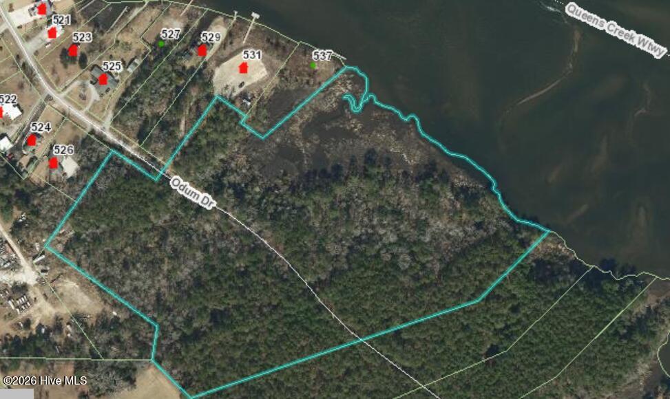 Image 3: 0 Odum GIS