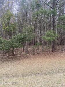 Lot 88 Johnson Drive