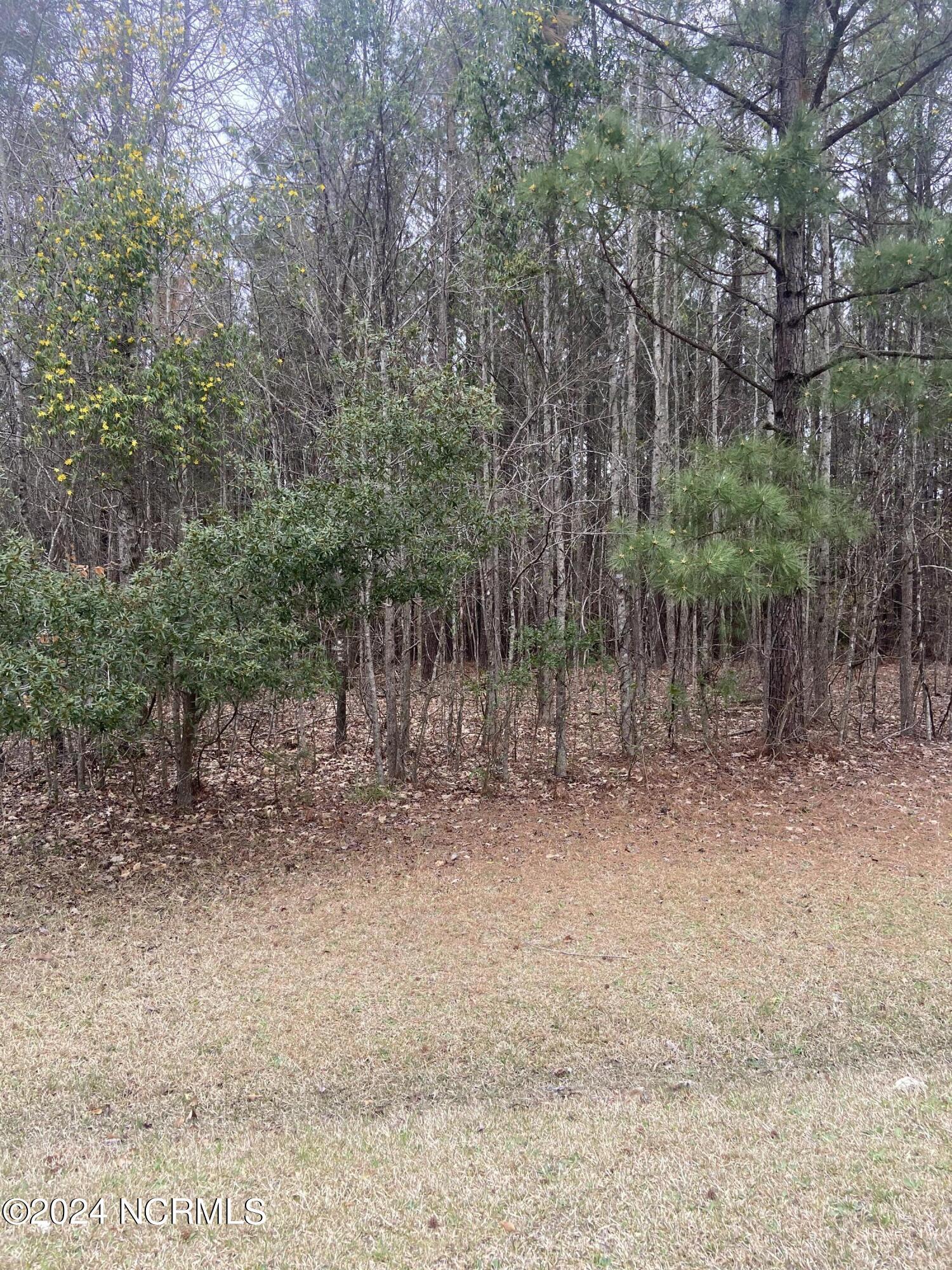 Image 1: 07749B29-7FF5-47BD-8092-E6126FA0B314