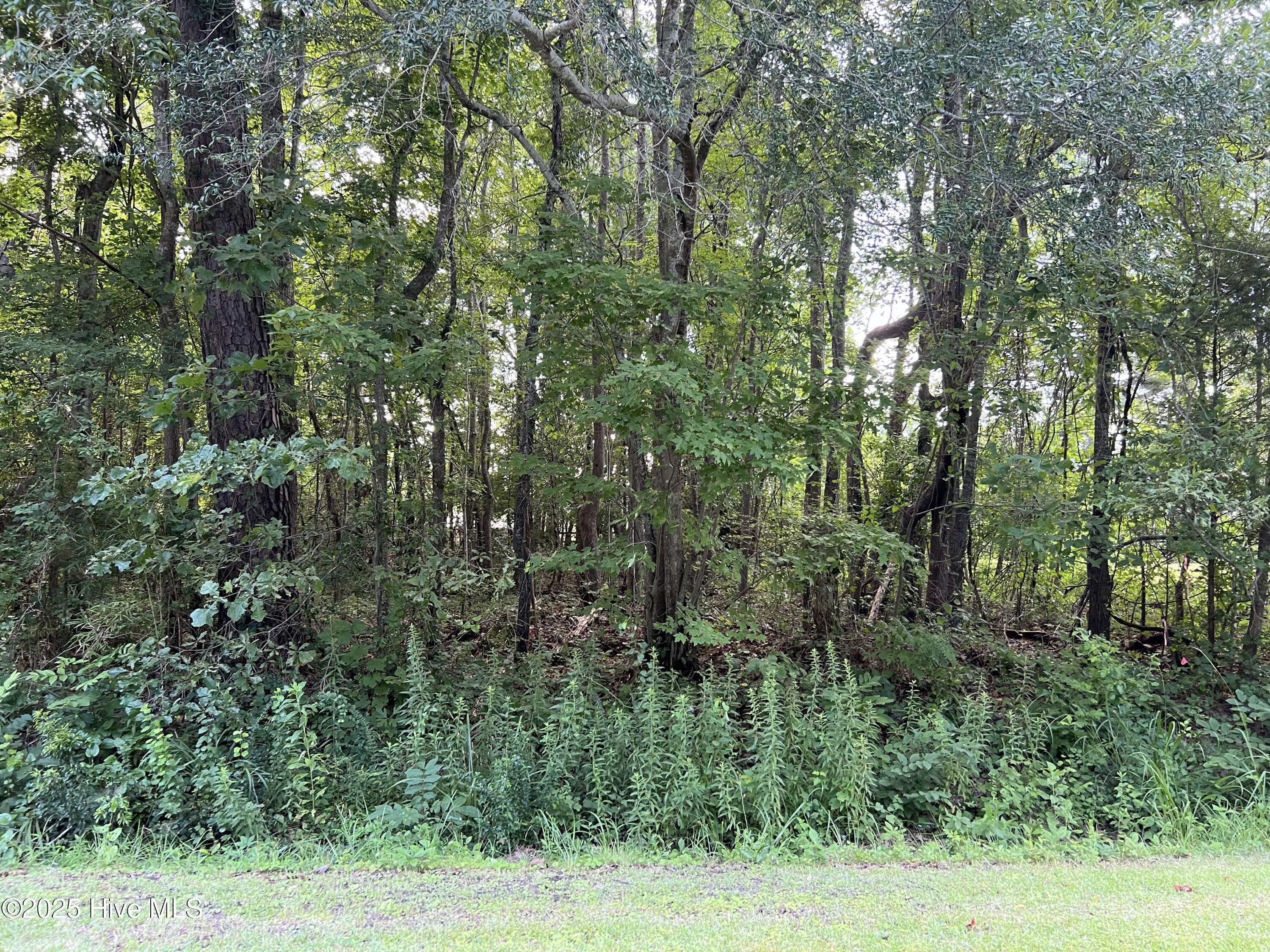 Image 1: Lot