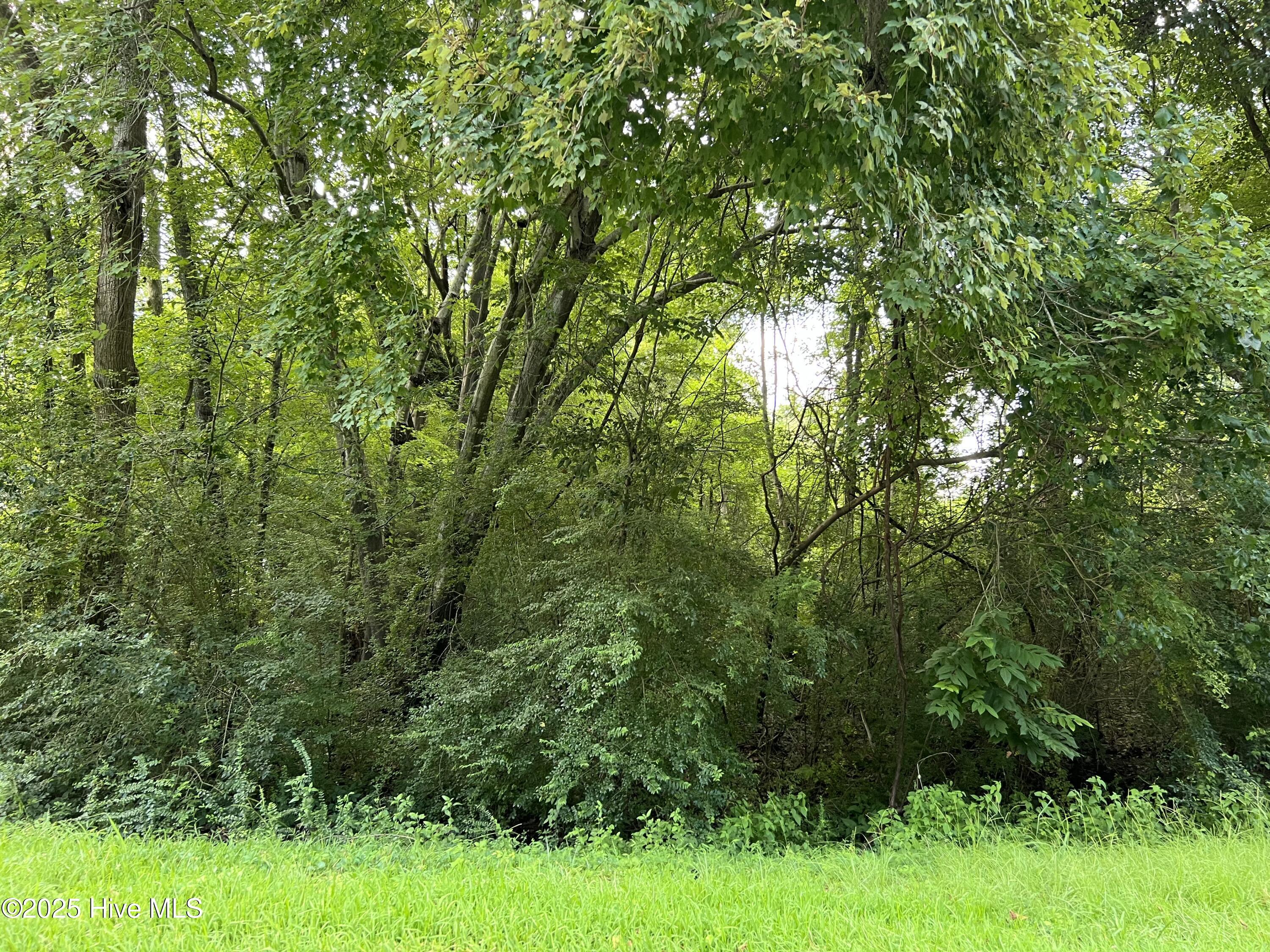 Image 1: Lot