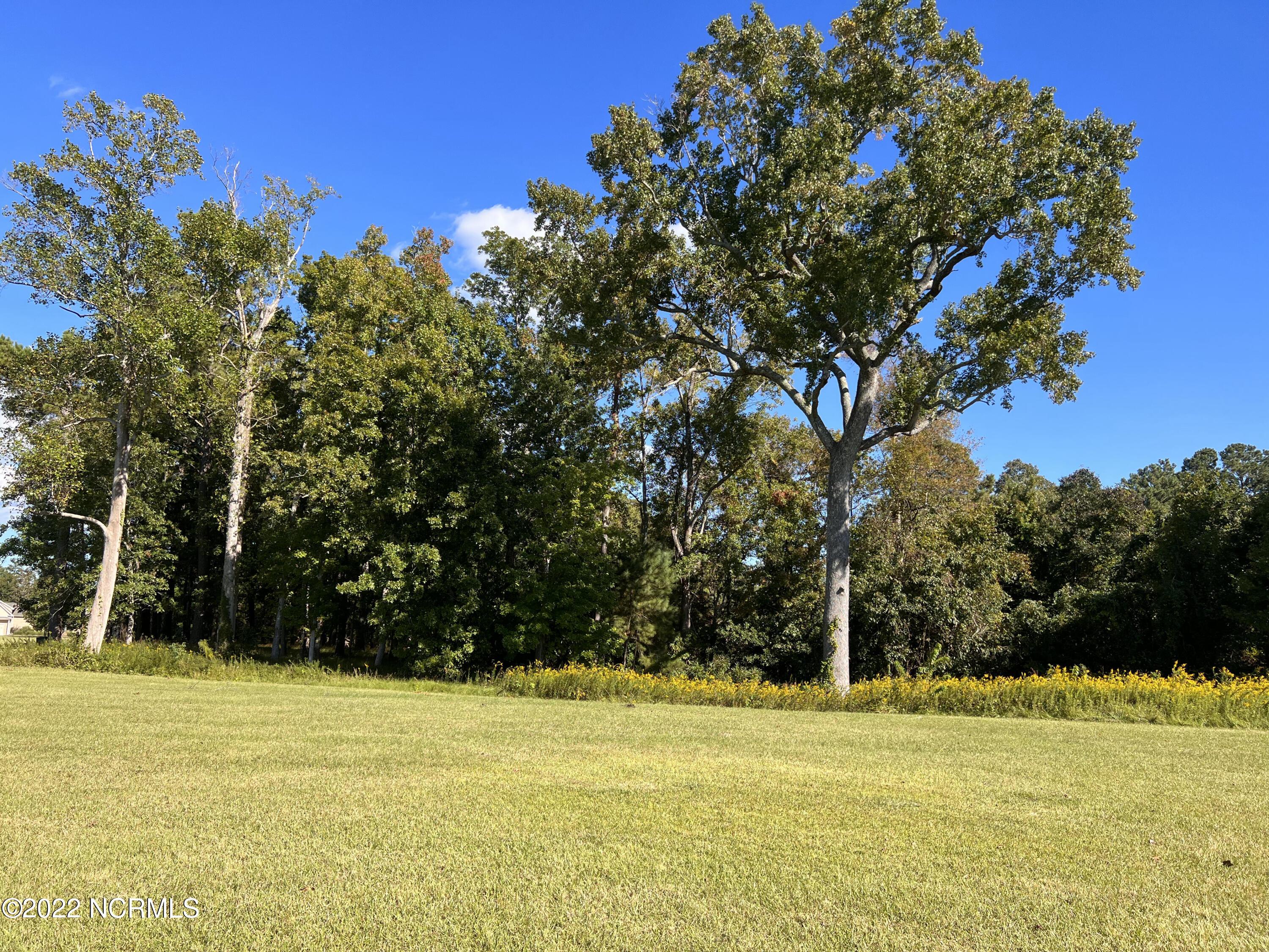 Image 3: IMG_3310