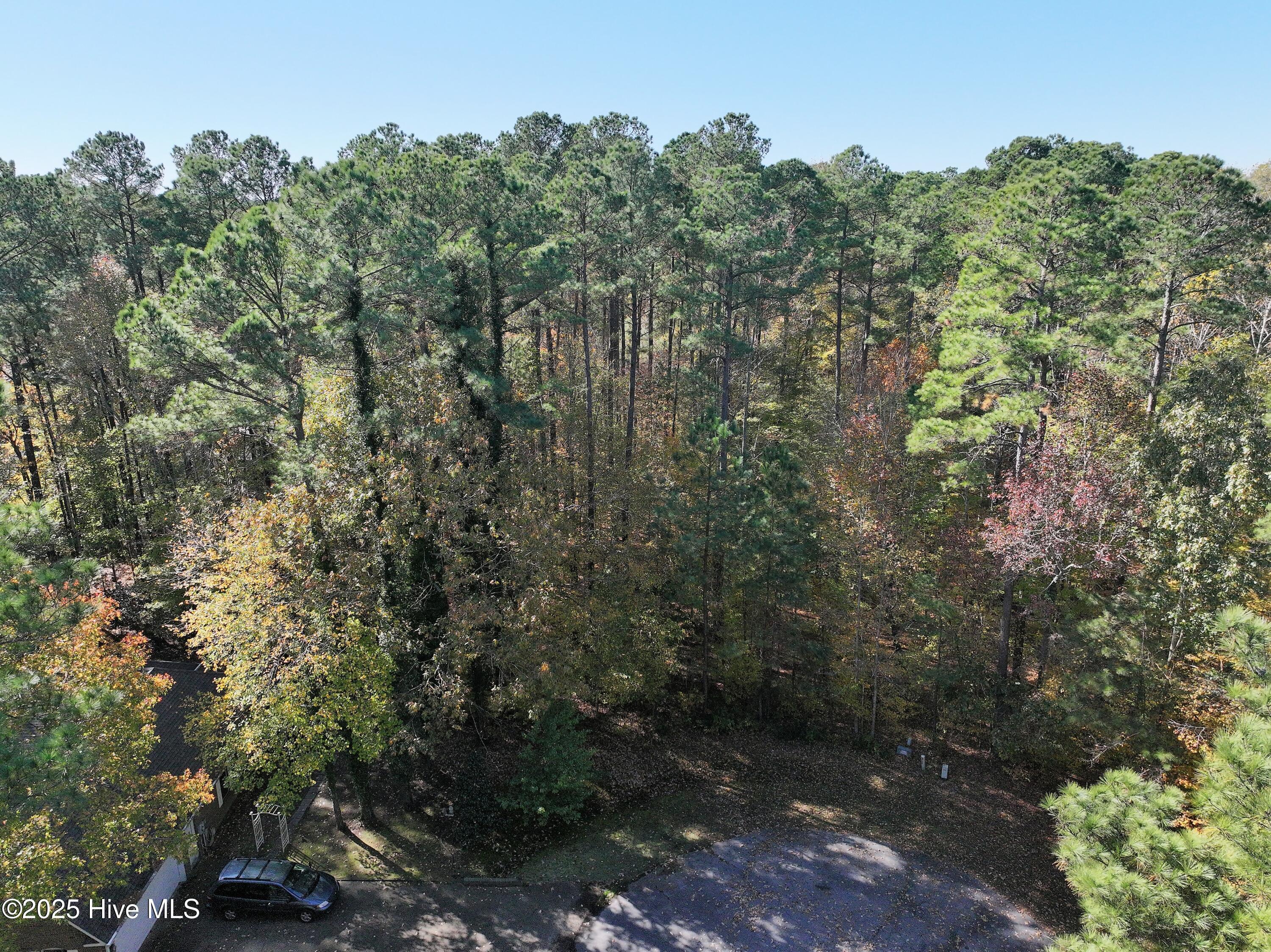 Image 4: DJI_20251112115736_0399_D