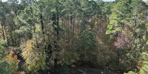 Image 4: DJI_20251112115736_0399_D