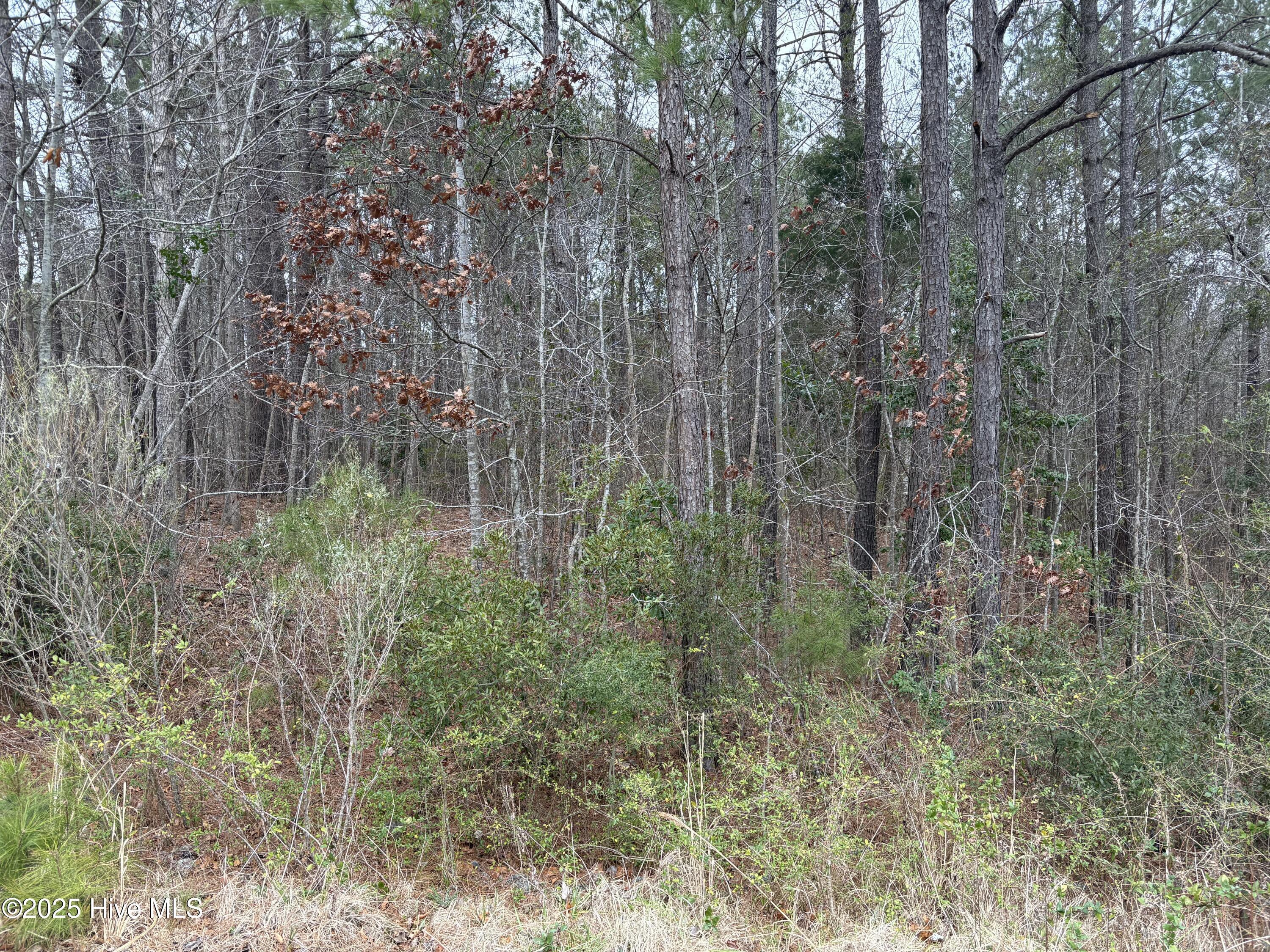 Image 4: IMG_7321
