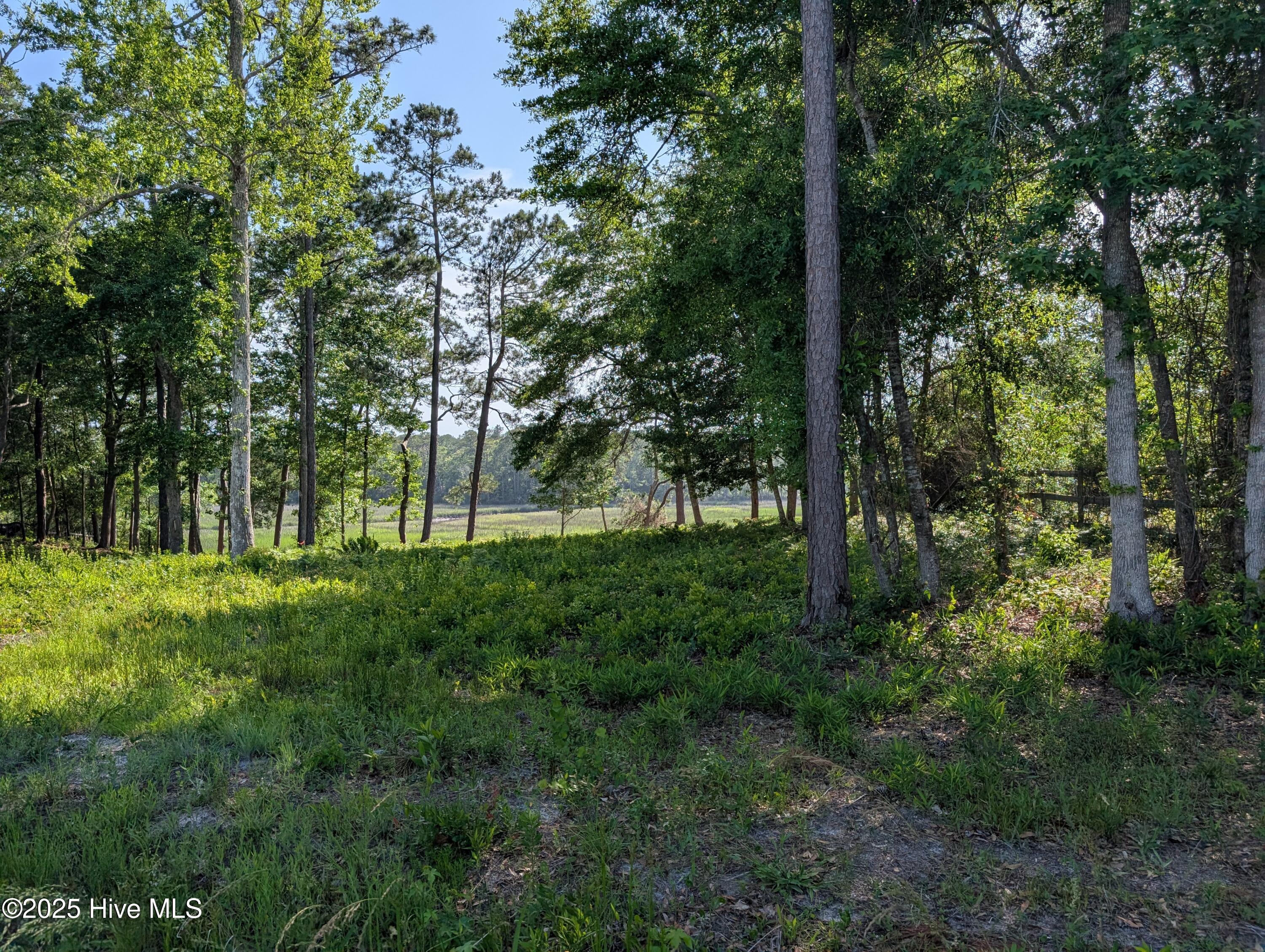 Image 1: PXL_20250515_205454063