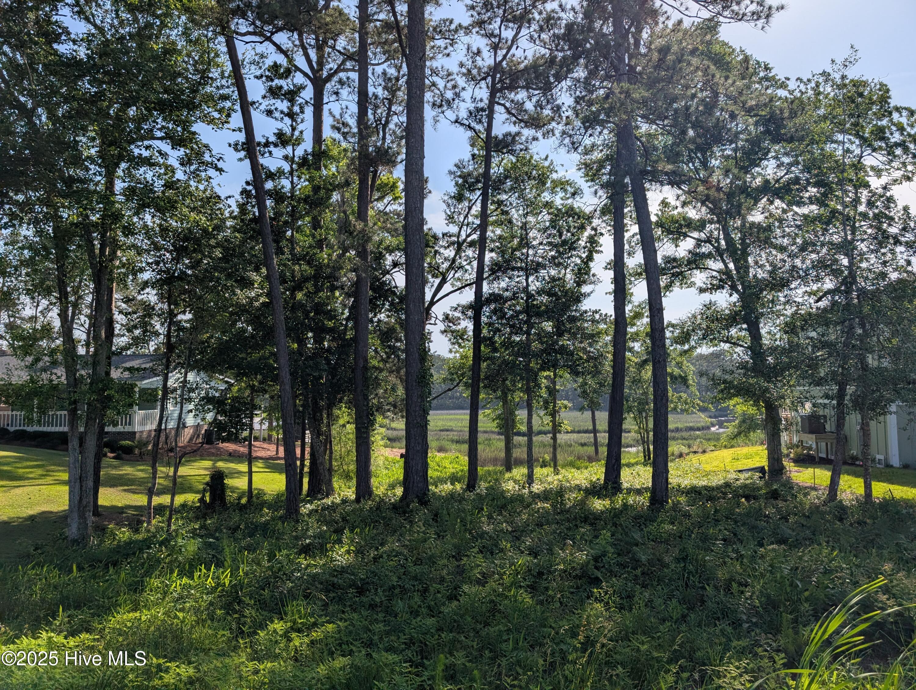Image 1: PXL_20250515_205319363