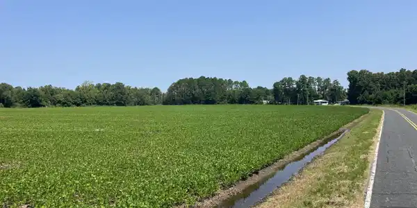 94 Whortonsville Road