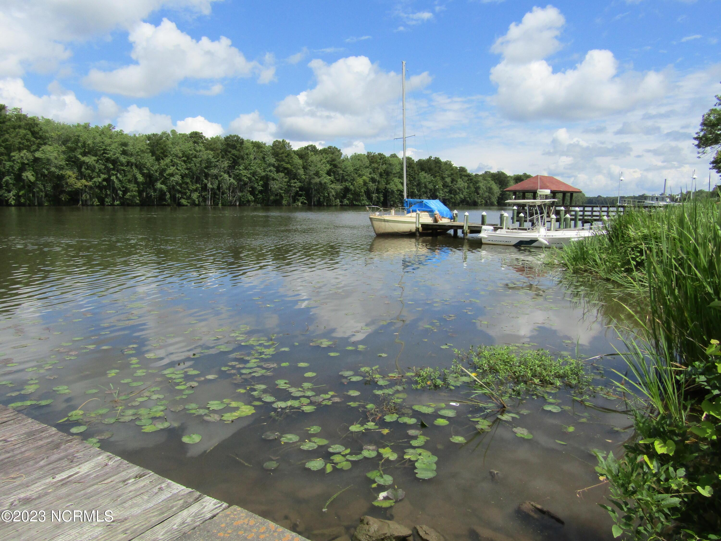 Image 2: 008 View of the Roanoke River