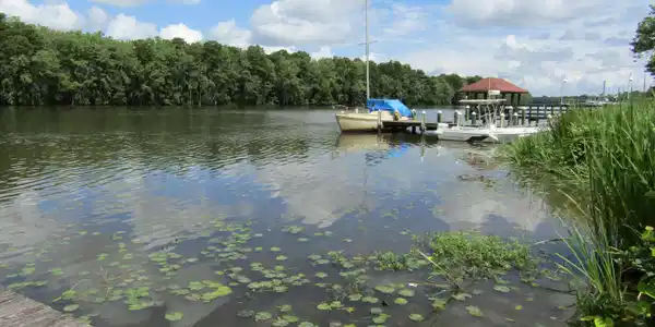 Image 2: 008 View of the Roanoke River