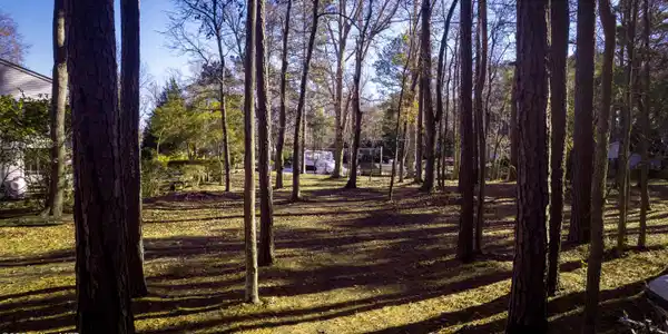 Image 4: Lot 50 Gilgo Road, Oriental, NC 28571