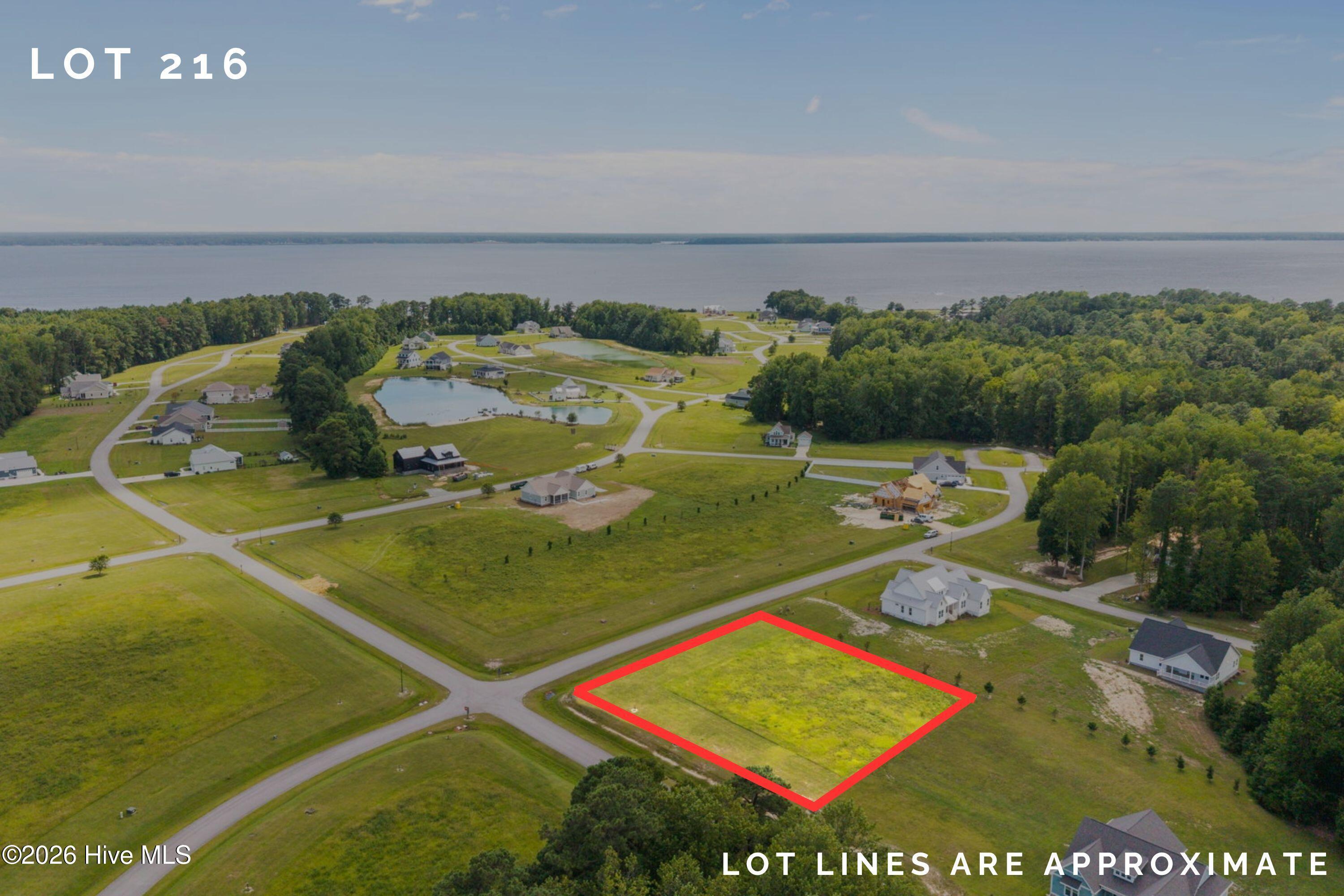 Image 1: Lot 216 - lines (2)