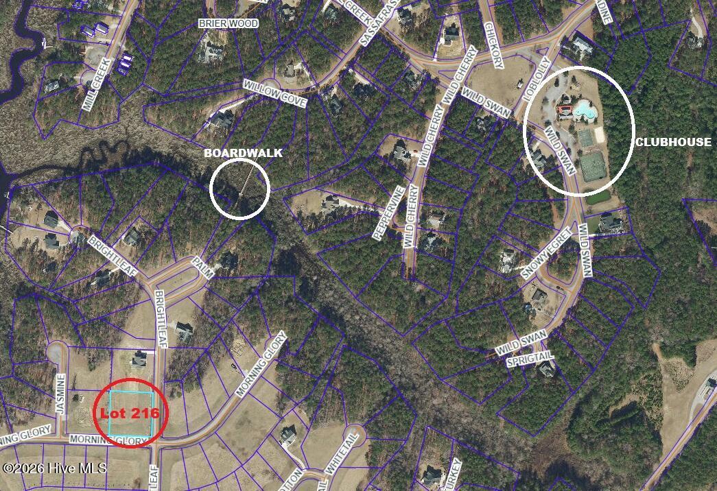 Image 4: Lot 216 satelite pic