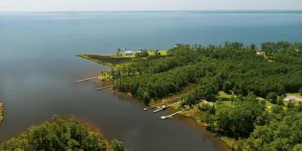 Image 2: Aerial View