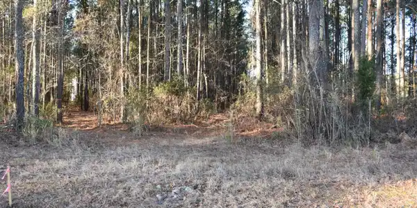 Image 4: Lot 97