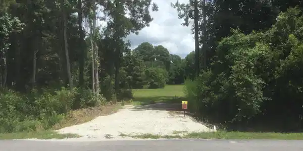 Image 3: lot 3