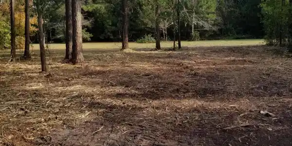 Image 4: lot 4