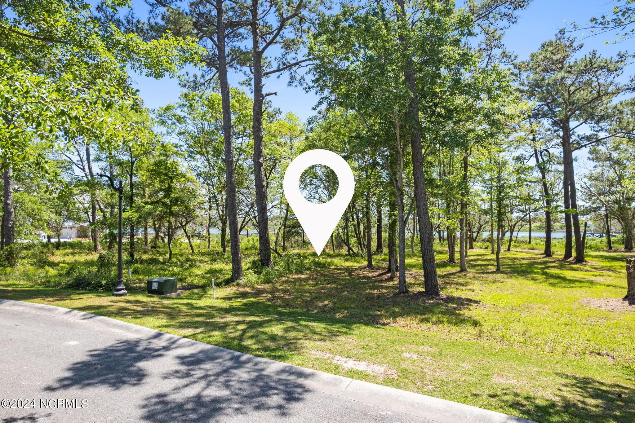 Image 4: 3534 Bocage St (30)