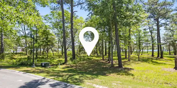 Image 4: 3534 Bocage St (30)