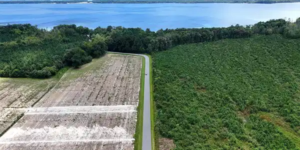 Image 3: Boat Ramp Road overhead of road