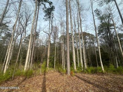 1007 Parchment Bluff