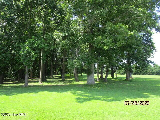 Image 3: IMG_5125
