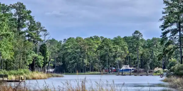 Image 2: 20250908_154048b