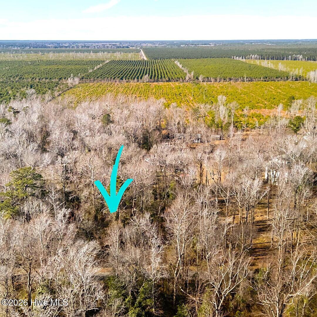 Image 4: 107 Tradewinds Rd