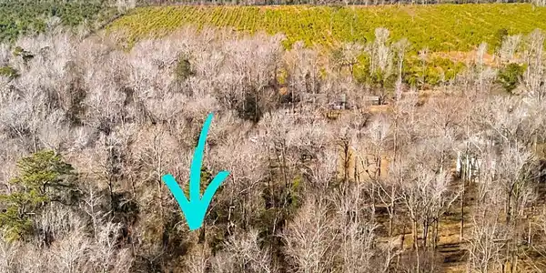 Image 4: 107 Tradewinds Rd