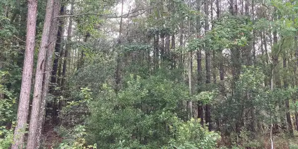 Lot # 33 33 Pine Crest Road