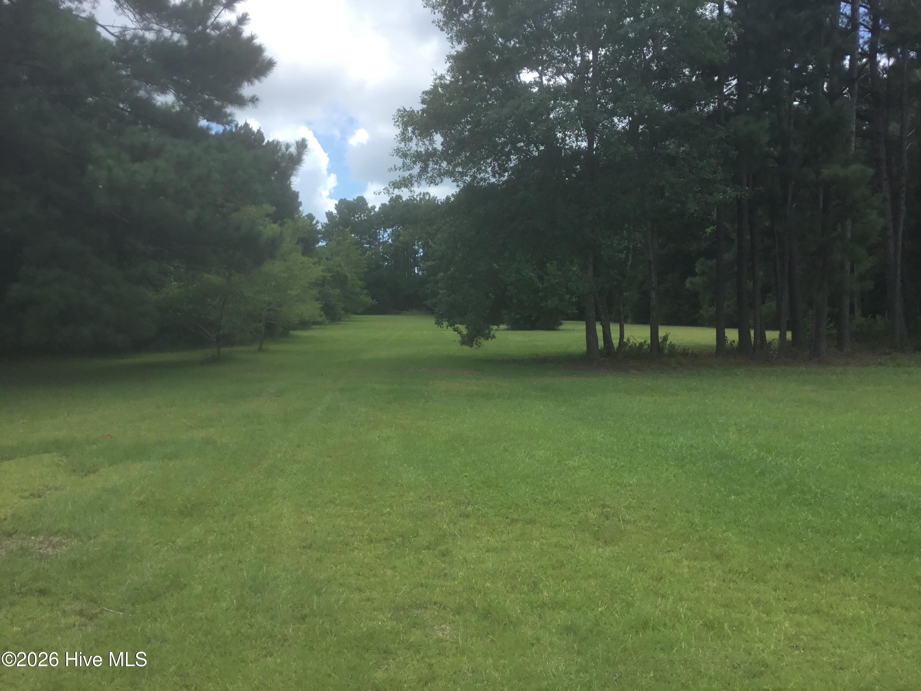 Image 1: lot 1