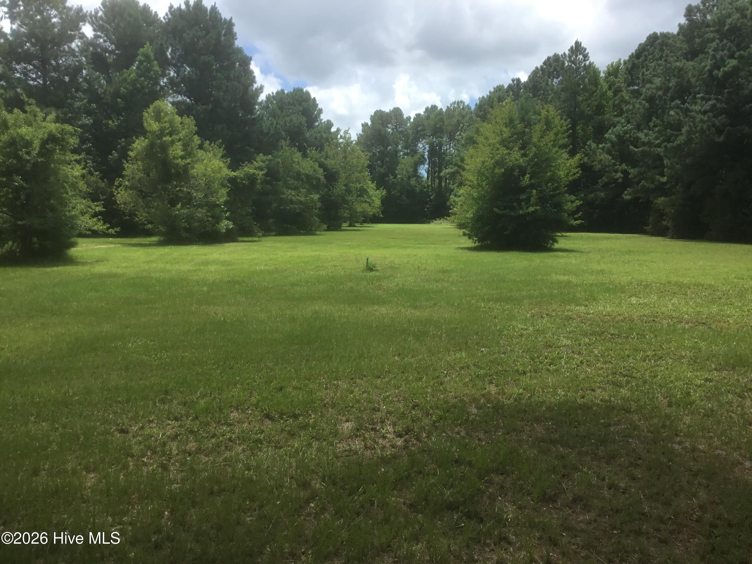 Image 2: lot 2