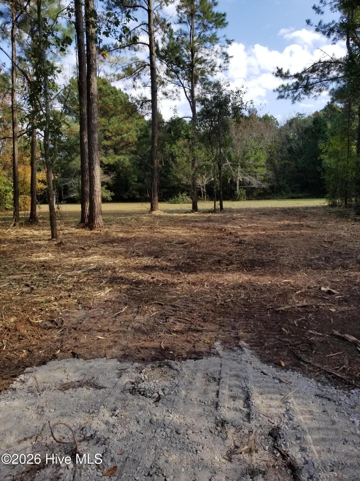 Image 3: lot 4
